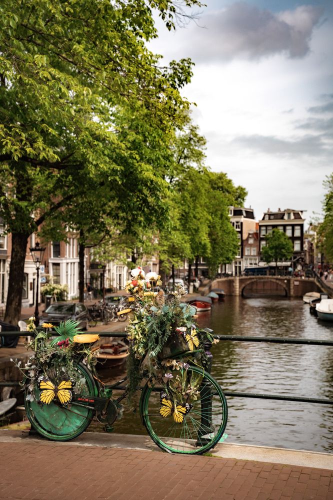 Heemelrijck Amsterdam — Amsterdam